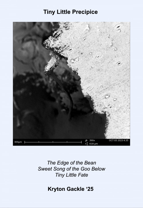 Black and white microscopic image with a haiku: The Edge of the Bean/Sweet Song of the Goo Below/Tiny Little Fate