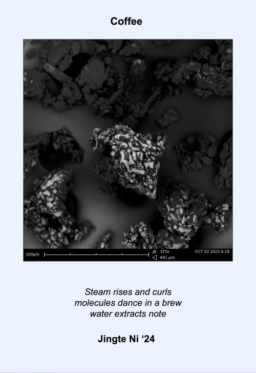 Black and white microscopic image with a haiku: Steam rises and curls/molecules dance in a brew/water extracts note