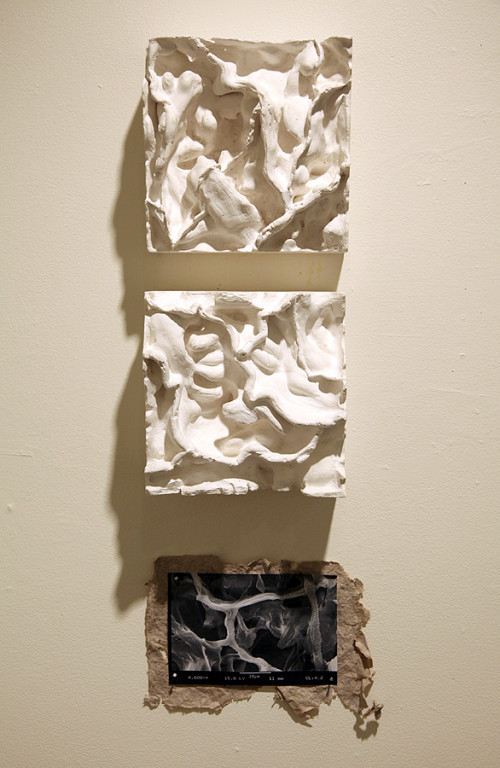 Miranda Lancaster-Moore scanned handmade paper she made from foraged mushrooms